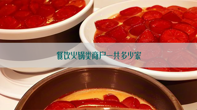 餐饮火锅类商户一共多少家