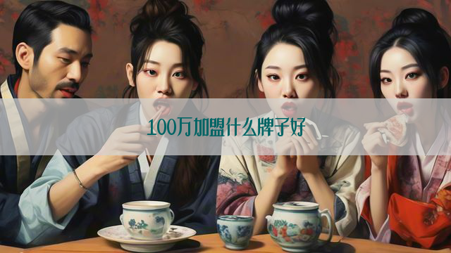 100万加盟什么牌子好